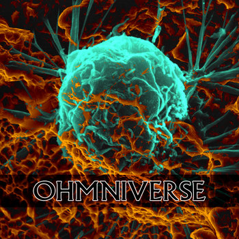 OHMNIVERSE cover art