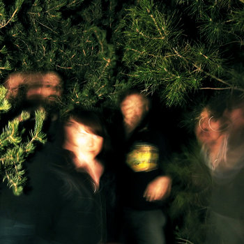Pine Forest Demos cover art