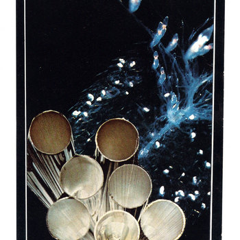 Split cover art