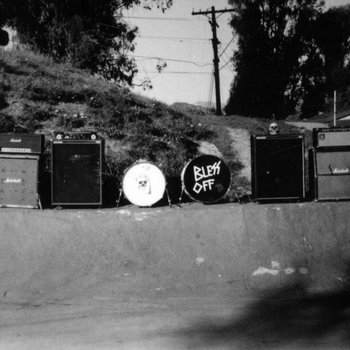 Zig Zags / The Shrine split 7" (Volcom) cover art