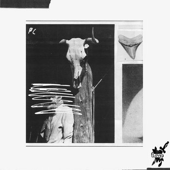 TOXIC LOVE LP cover art