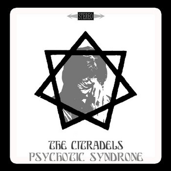 Psychotic Syndrone cover art