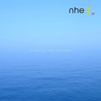 Erasing the horizon cover art