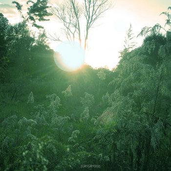 Among Trees - Grasslands EP [GRTGRY002] cover art