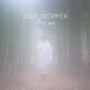 Little Bird cover art