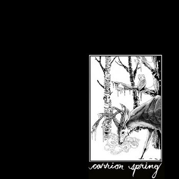 A Short History Of Decay cover art