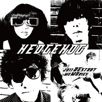 2011 DEstroy meMOries cover art