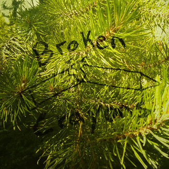 Broken Crayons #6 (Evergreen) cover art