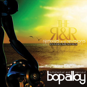 The R & R (Remixes & Revisions) [INSTRUMENTALS] cover art
