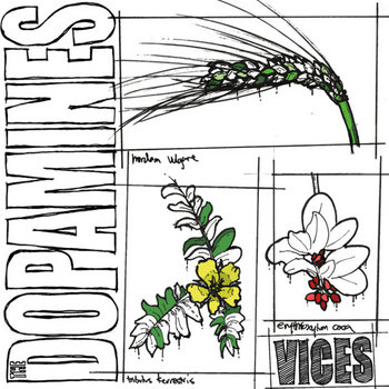 Vices cover art