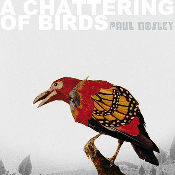A Chattering of Birds cover art