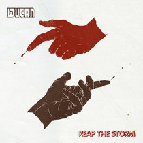Reap The Storm Cover Art