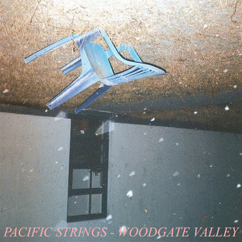 WOODGATE VALLEY cover art