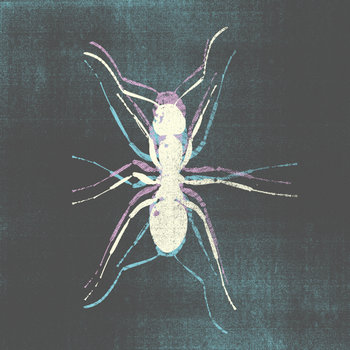Kiko cover art