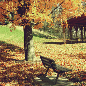 2011 Fall Semester cover art