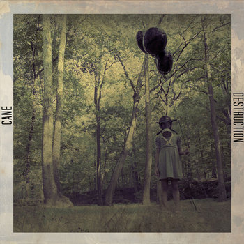 Destruction cover art