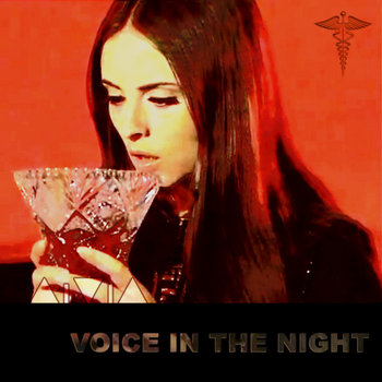 Voice In The Night cover art