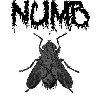 S/T EP cover art