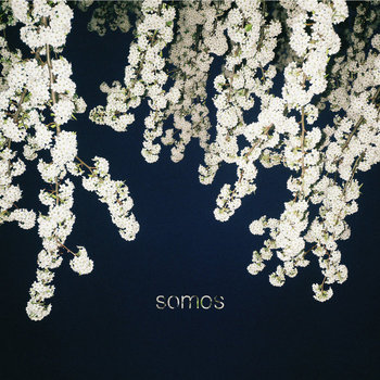 Demo 2012 cover art