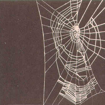 Spider Heaven cover art