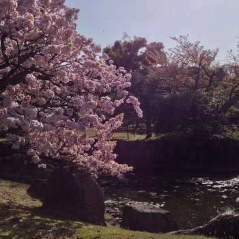 Japan EP cover art