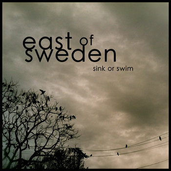 Sink or Swim cover art