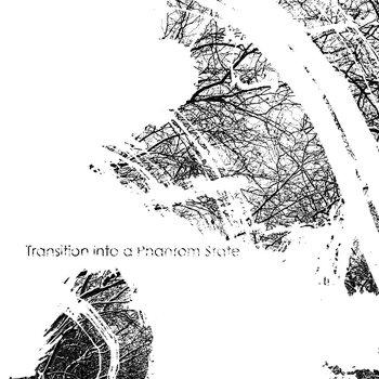 Transition into a Phantom State cover art
