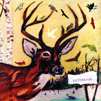 Passerine cover art