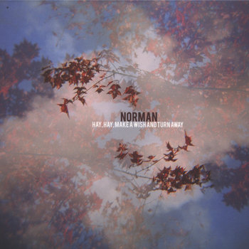 Hay, Hay, Make A Wish And Turn Away cover art