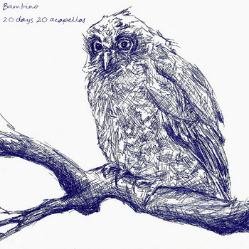 20 days 20 acapellas (2011) cover art