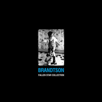 Fallen Star Collection cover art
