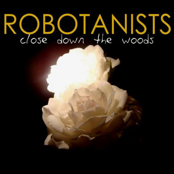 CLOSE DOWN THE WOODS cover art