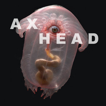 AXHEAD (Axiom & Headspace) cover art