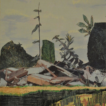 Lands & Peoples / INEVERYROOM Split cover art