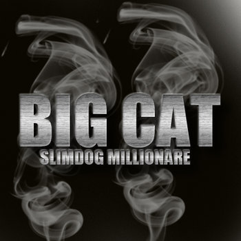 SlimDog Millionare cover art