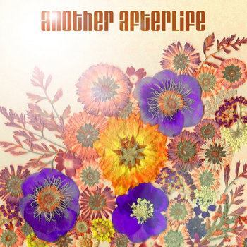 Another Afterlife cover art