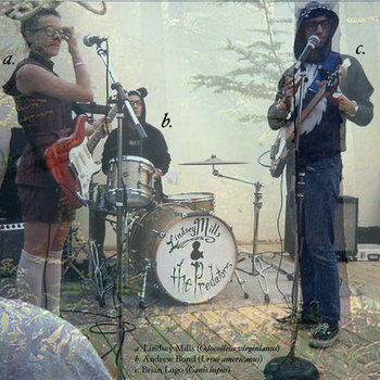Demo 2011 cover art