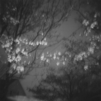 We Need Secrets/Sea Glasses split 7" cover art