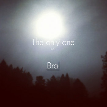 The only one cover art
