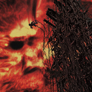 HIDE cover art