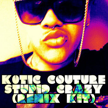 Stupid Crazy (REMIX KIT) cover art