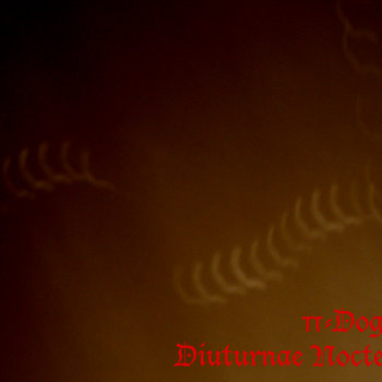 Diuturnae Noctes cover art