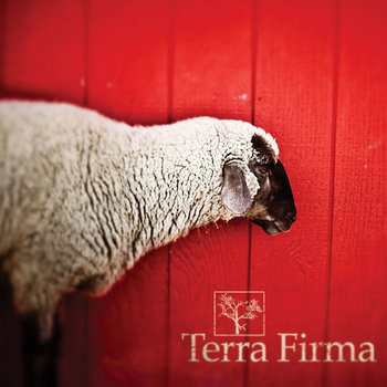 Terra Firma cover art
