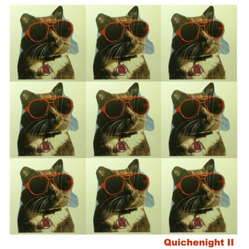 Quichenight II cover art