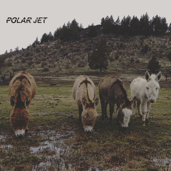PolarJet cover art
