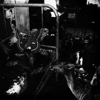 grief: silence in five movements cover art