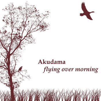 Flying Over Morning cover art