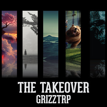 The Takeover cover art