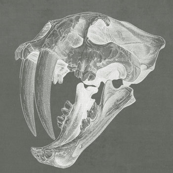 Cyprea cover art