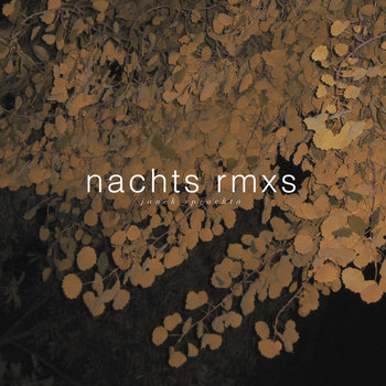 Nachts Rmxs cover art